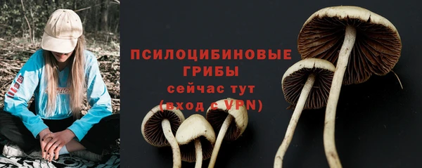 меф Михайловск