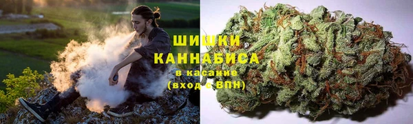 2c-b Костерёво