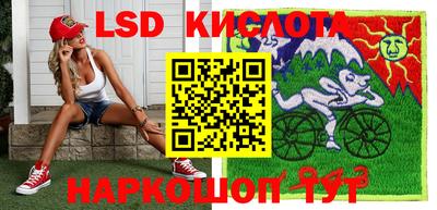 прущие крисы Моздок