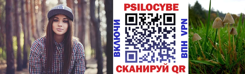 купить наркоту  Тихвин  Галлюциногенные грибы Cubensis 